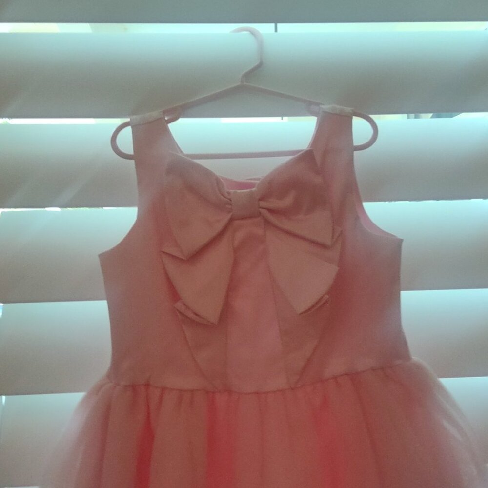 Special Occasion Girls Dress - Picture 3 of 5